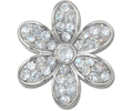 Silver Mnchrm Daisy 1