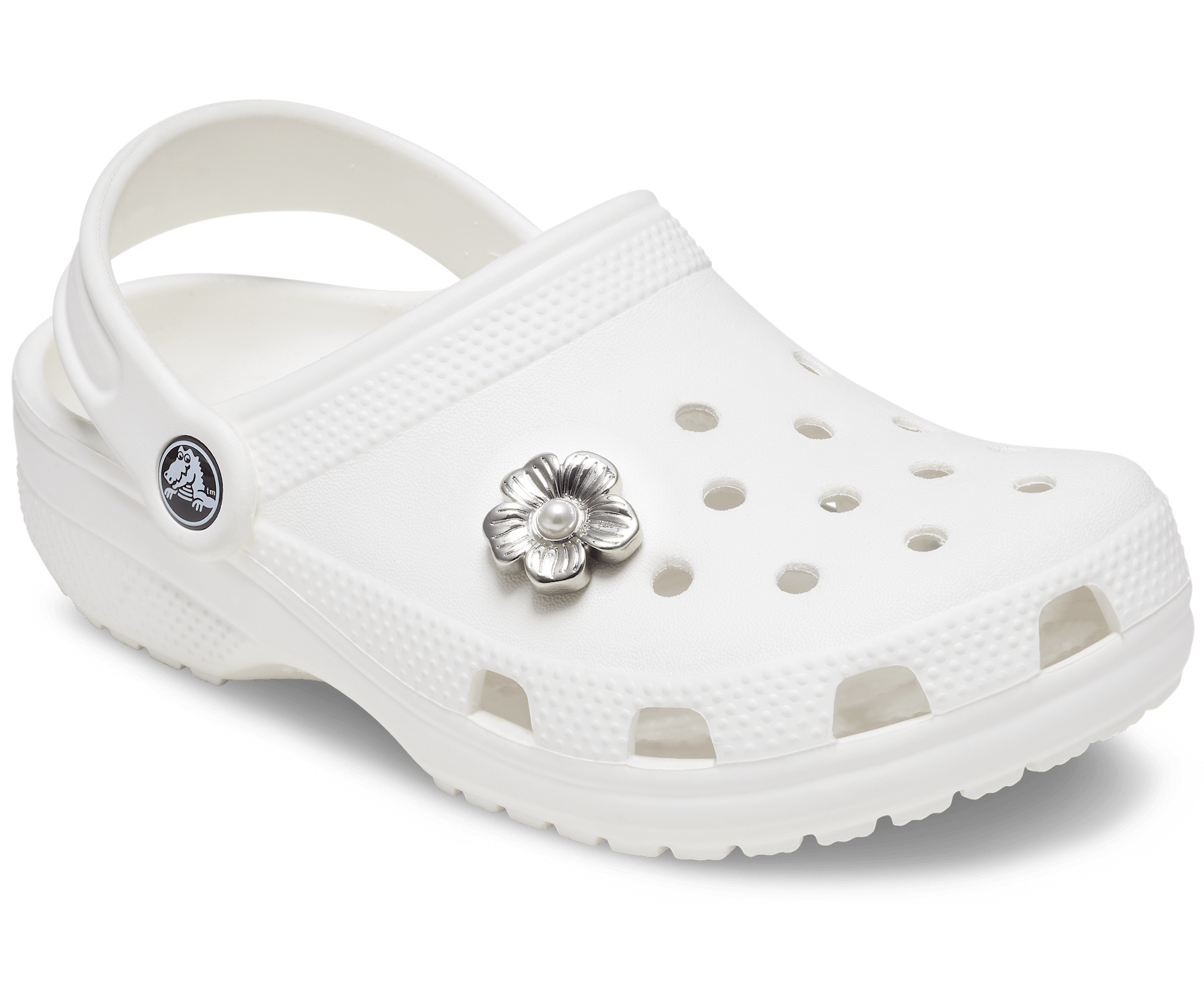 Silver Mnchrm Daisy 2